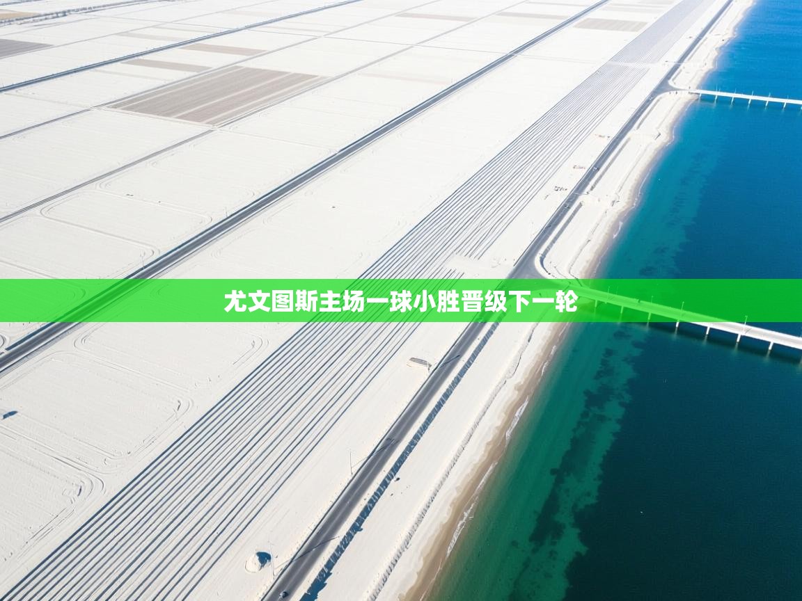 尤文图斯主场一球小胜晋级下一轮  第2张